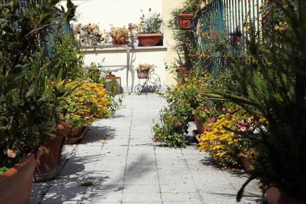 Hotel Stella Elsa à Rome Extérieur photo